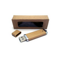 1 GB Eco Friendly Plastic USB Pen Drive 500